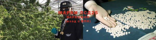 спайс Алзамай