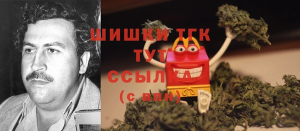 спайс Алзамай