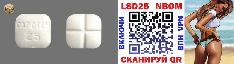 наркотики  Электрогорск  ЛСД экстази ecstasy 