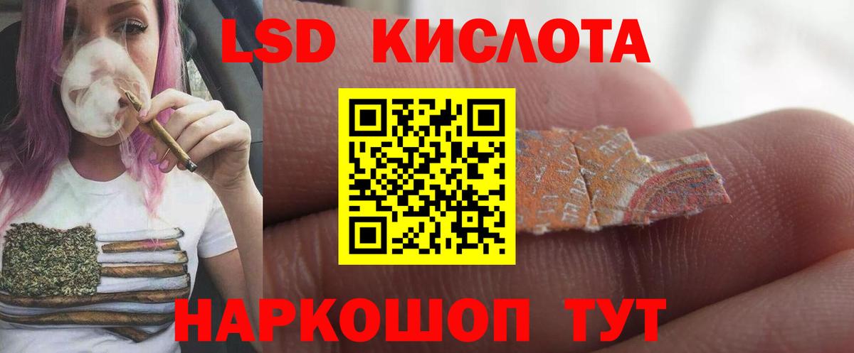 МЕФ Электрогорск