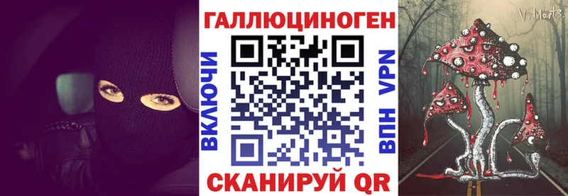 Псилоцибиновые грибы Psilocybine cubensis  Электрогорск 