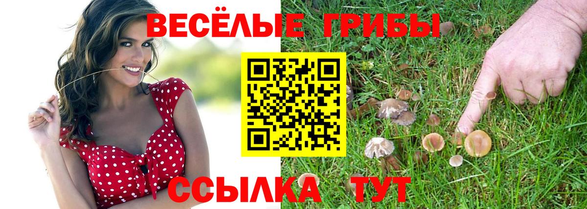Галлюциногенные грибы Cubensis Электрогорск