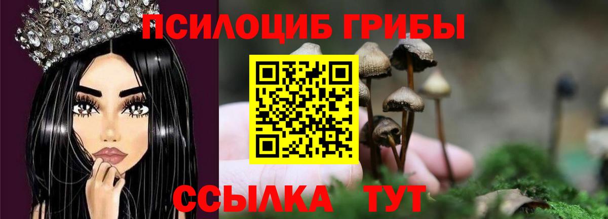 Электрогорск  Псилоцибиновые грибы Cubensis  Вход с VPN 